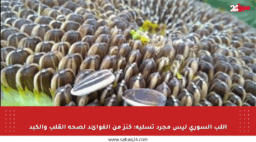 اللب السوري ليس مجرد تسلية: كنز من الفوائد لصحة القلب والكبد